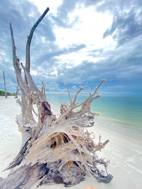 Beach at the State Park across the street