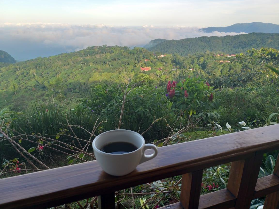 Hermosas vista de la.terraza acompañada de una deliciosa tazs de café chiapaneco!!!

