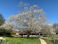 Parc