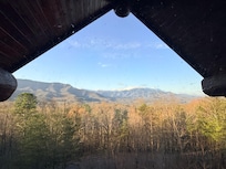 Vies from the cabin