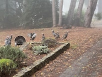 Also outside the front door