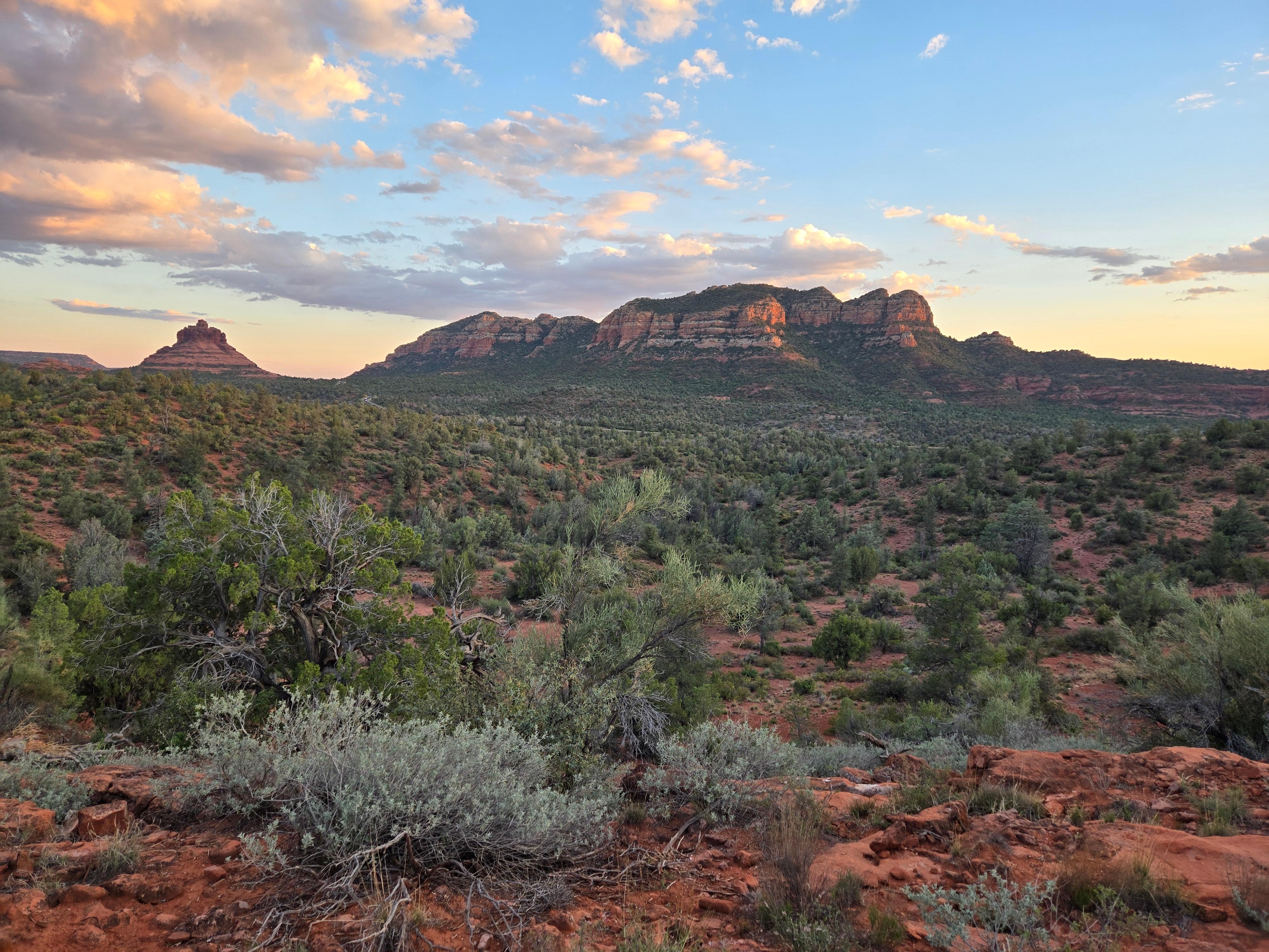 Morning wall near home.