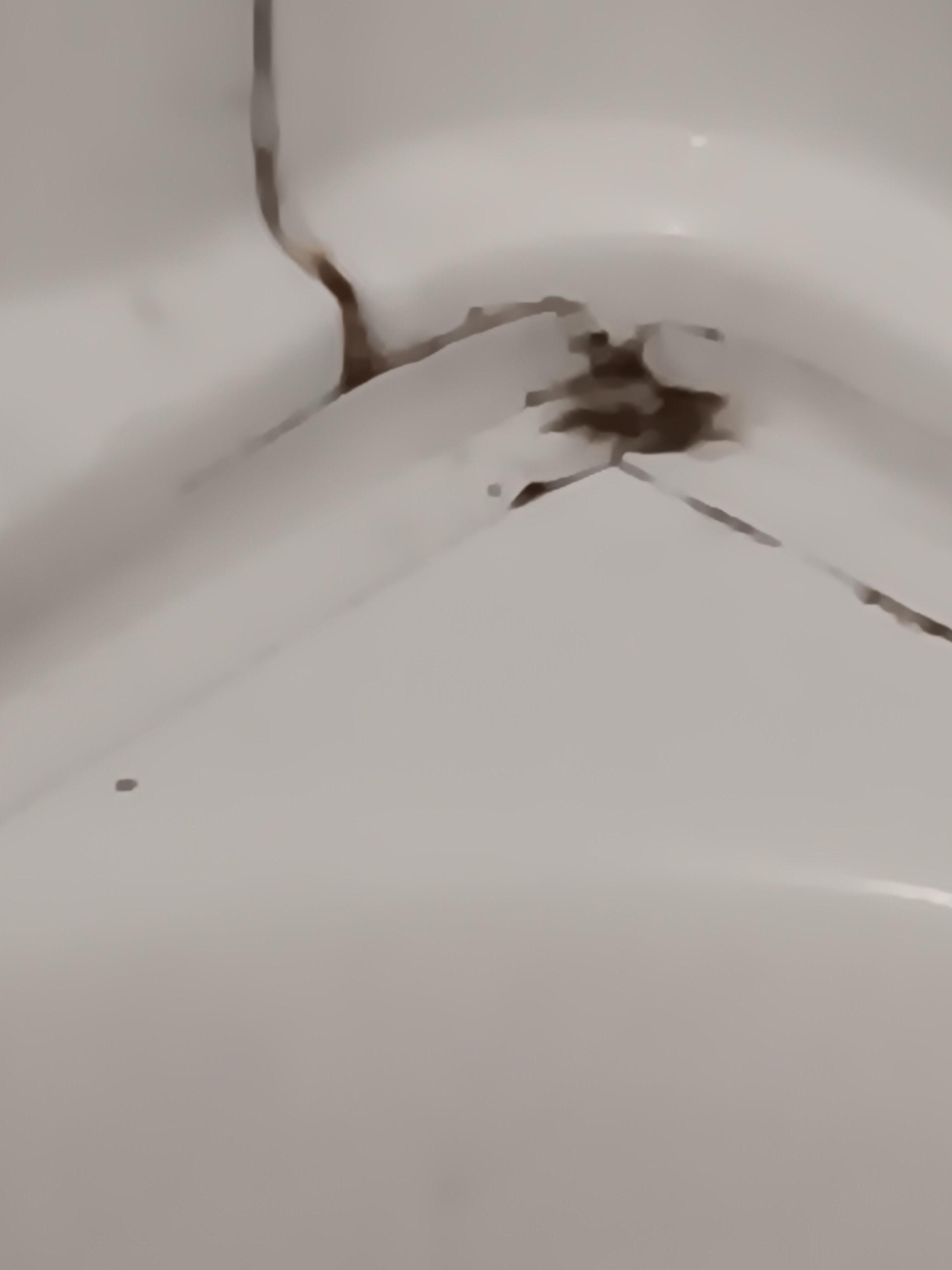 Black mold around the tub. Tub looked like it had never been cleaned. 