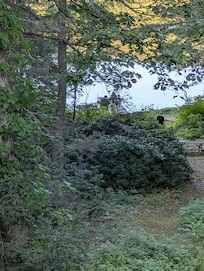 The lake from the house