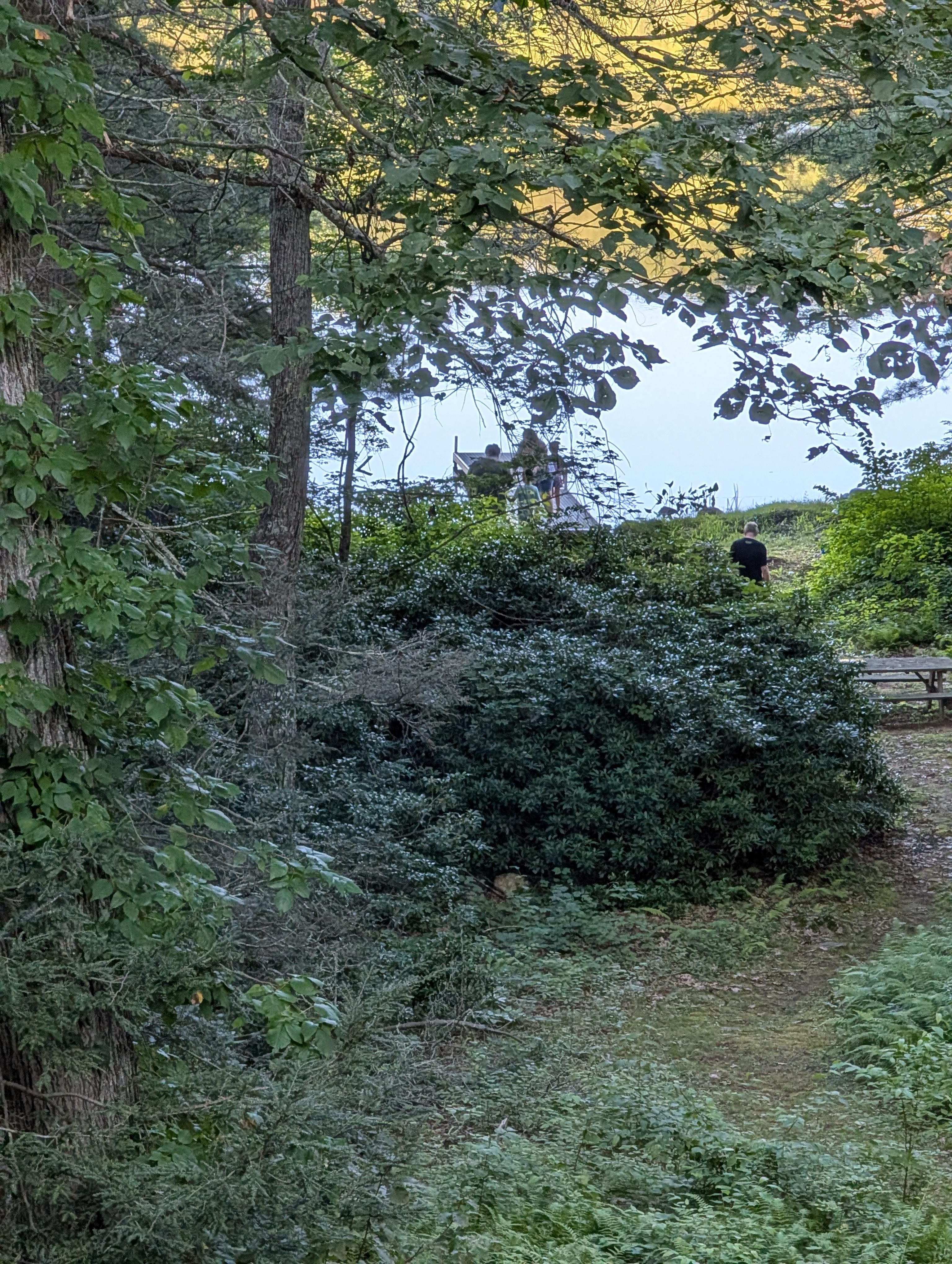 The lake from the house
