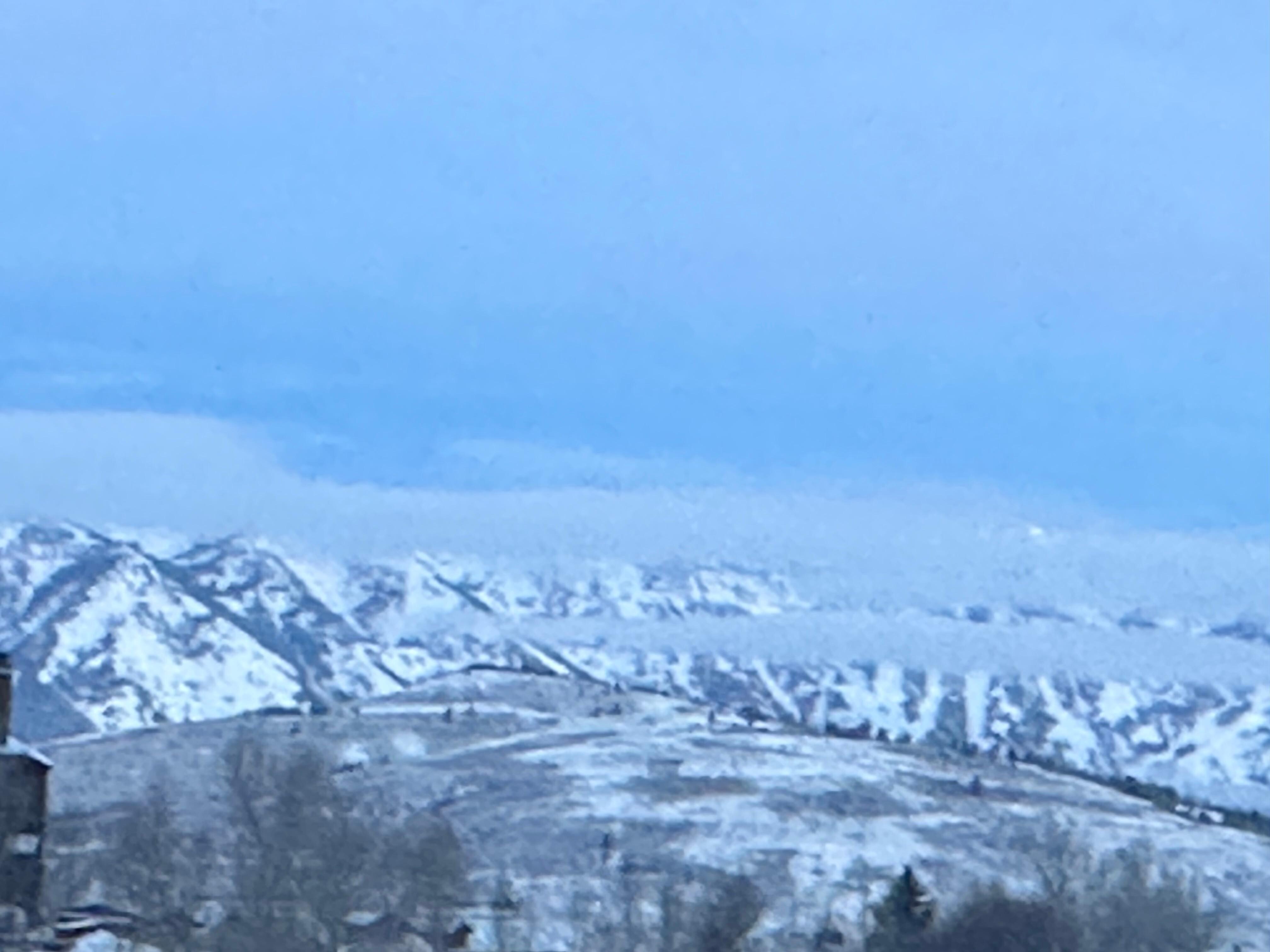 View from living room. 