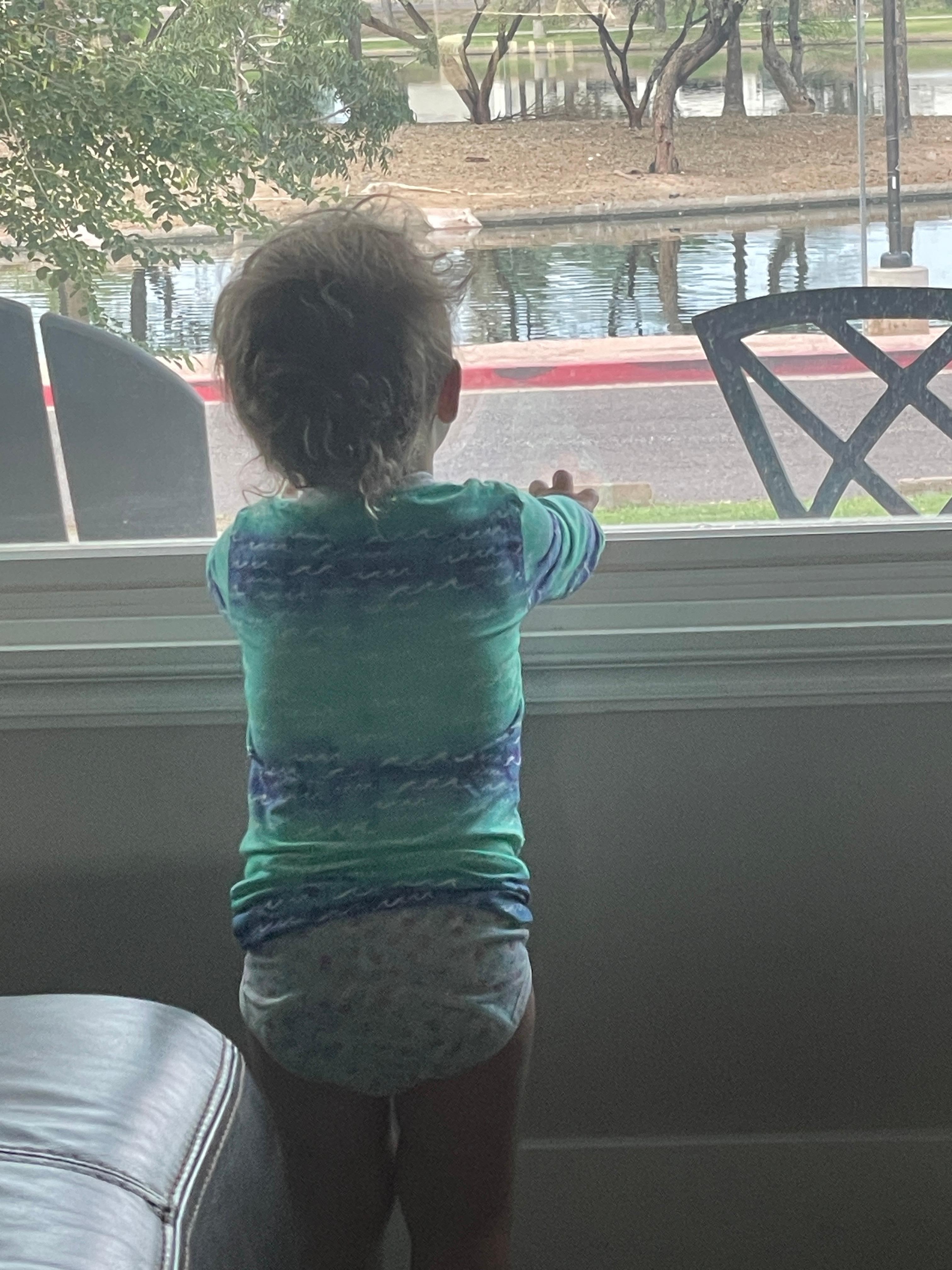 Even our two year old enjoyed the view from the front window!!