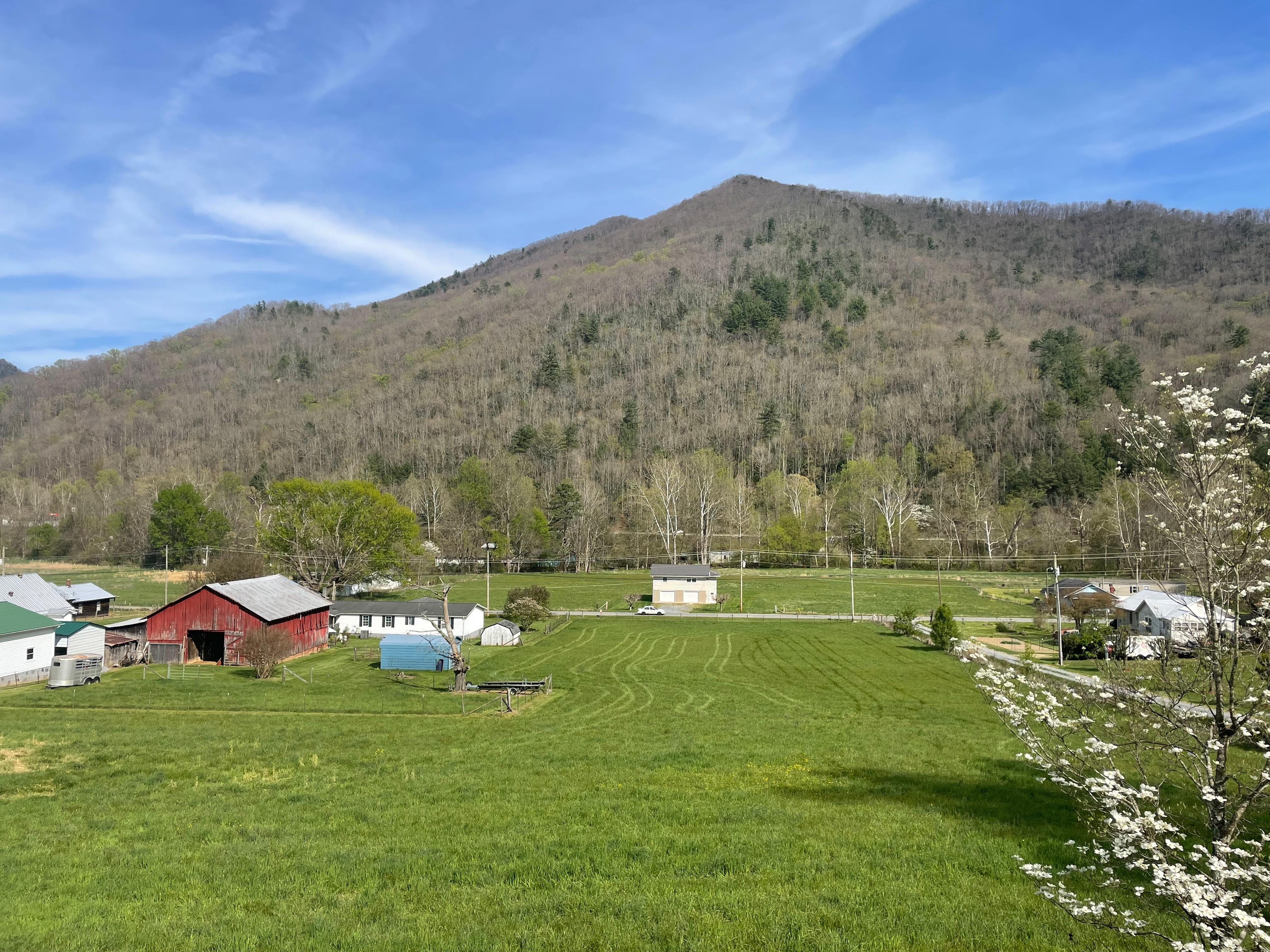 Beautiful view from the front porch.