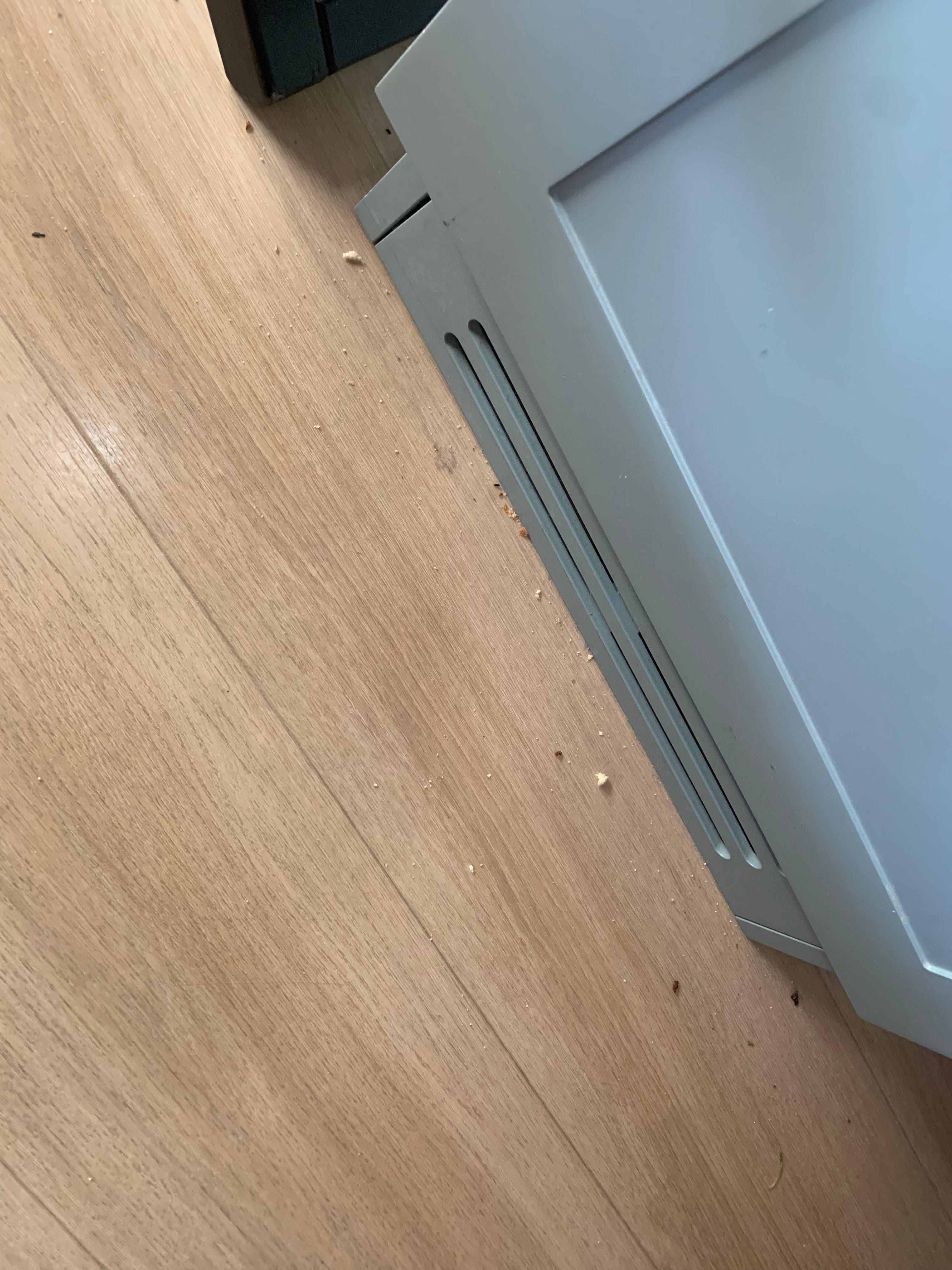 They didn't even sweep the floor—let alone vacuum or wash it.