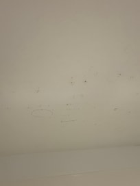 notice the hairs stuck on bathroom ceiling