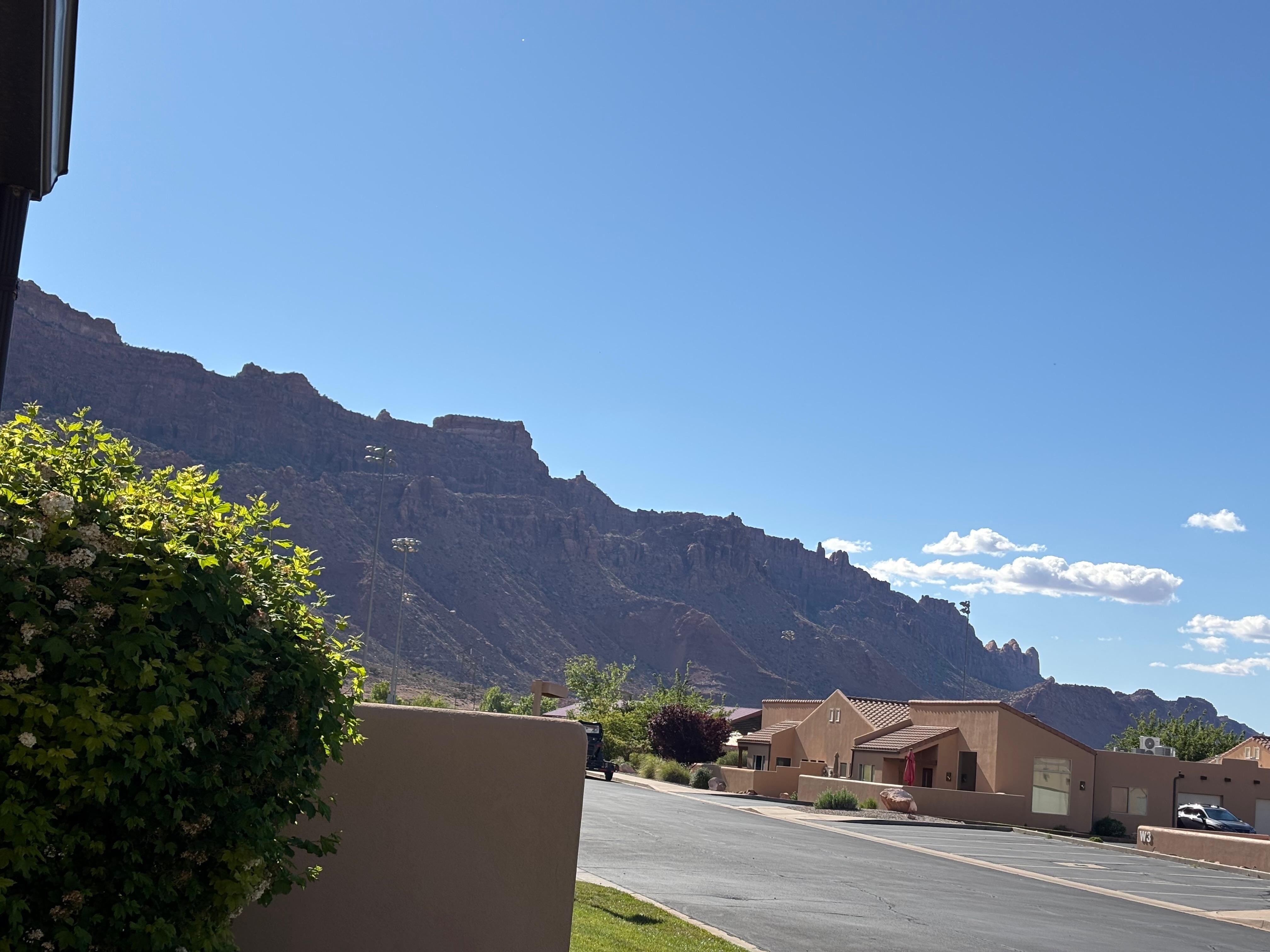 View from the patio