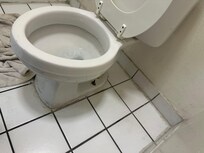 Toilet, dirty inside and outside