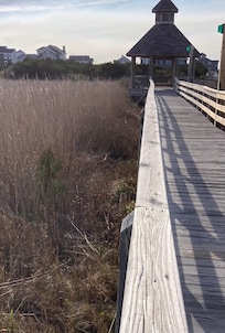 A Deer on the walkway to the beach