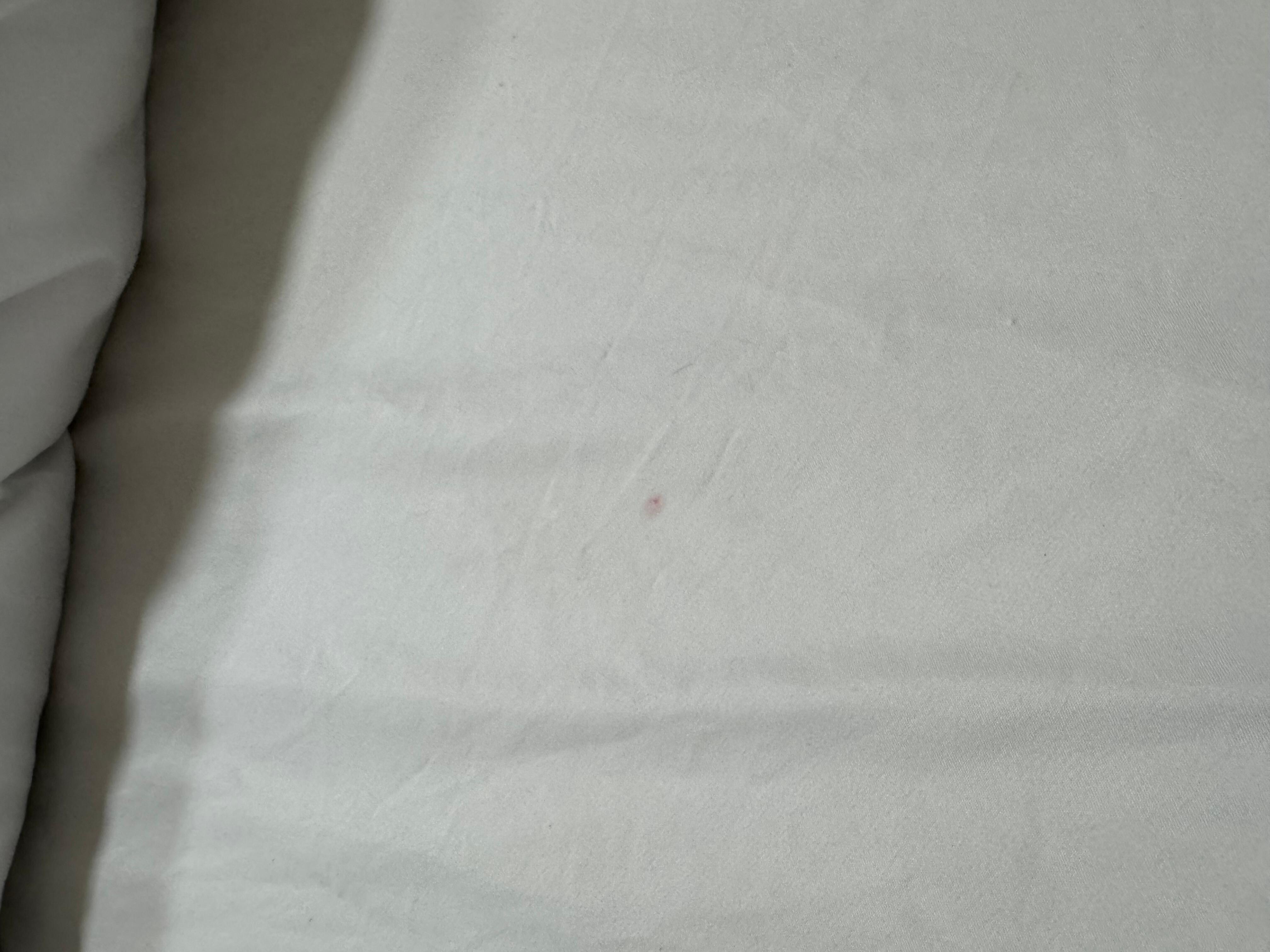 Another stain that we could rub off when touched, meaning the sheets were not washed.