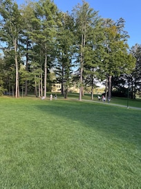 Tanglewoods