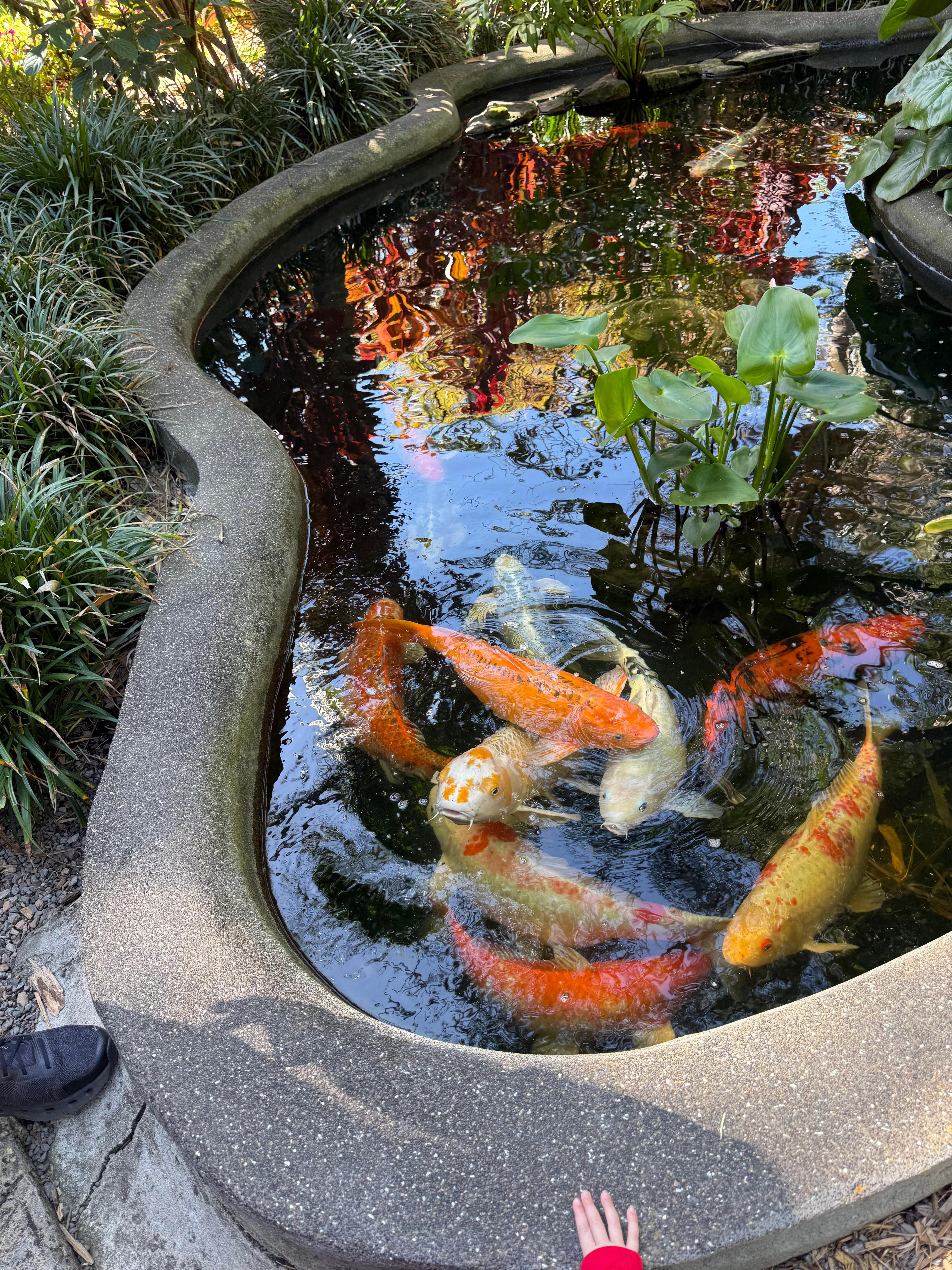 Botanical garden Sarah