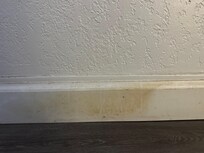 Filthy baseboards