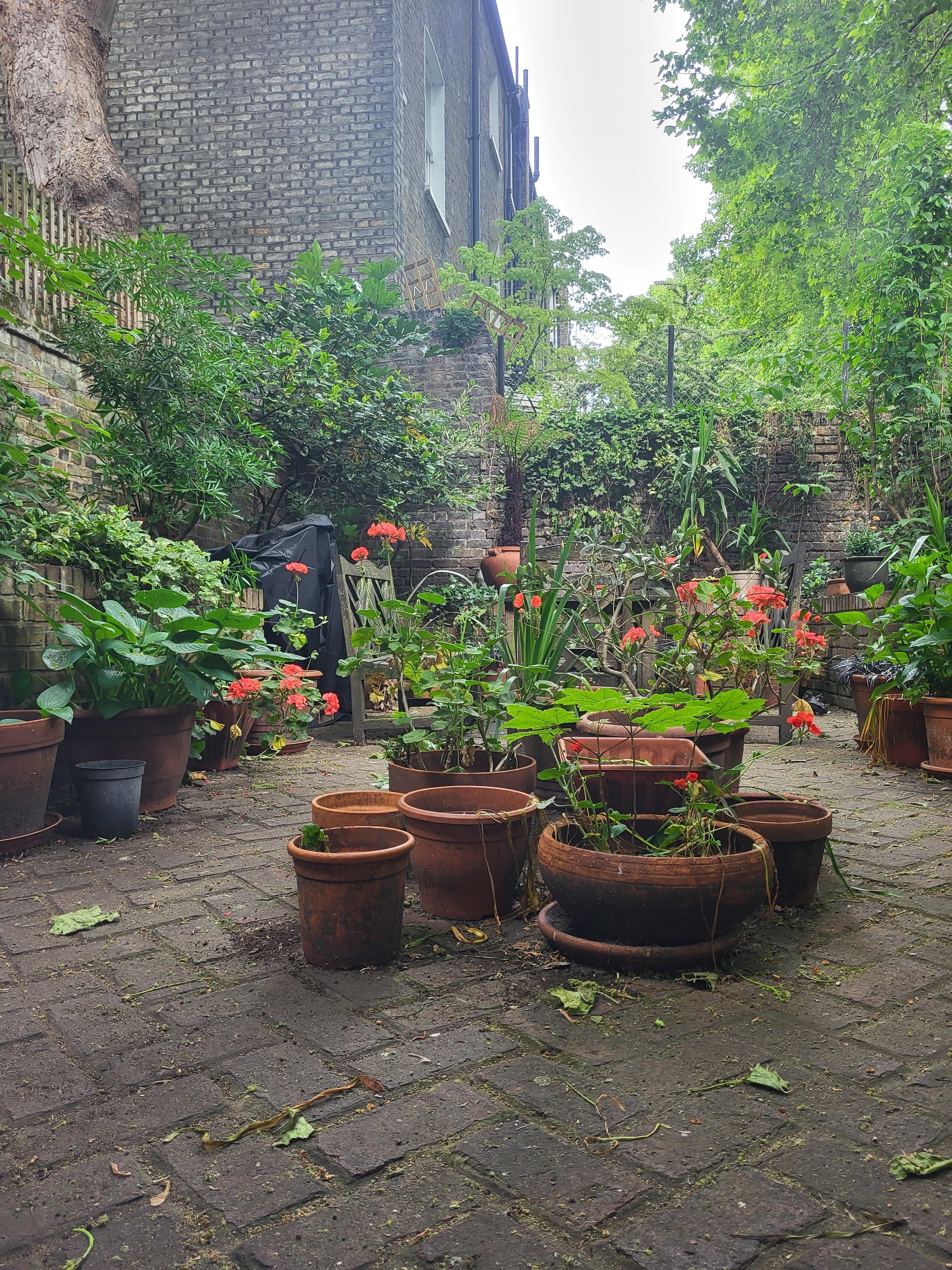 I loved this view of the back garden from the bedroom.