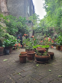 I loved this view of the back garden from the bedroom.