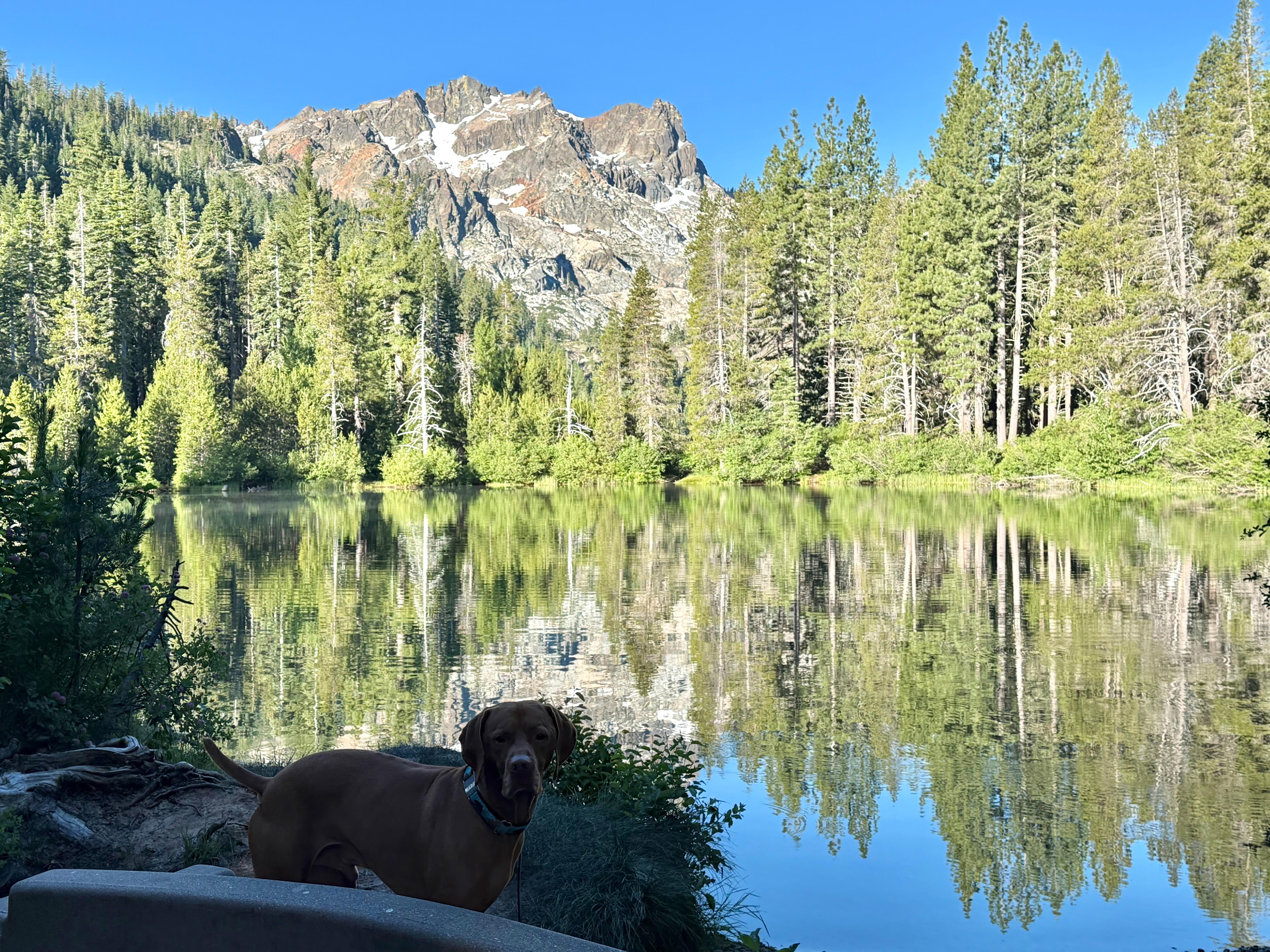 Close to Lakes Basin