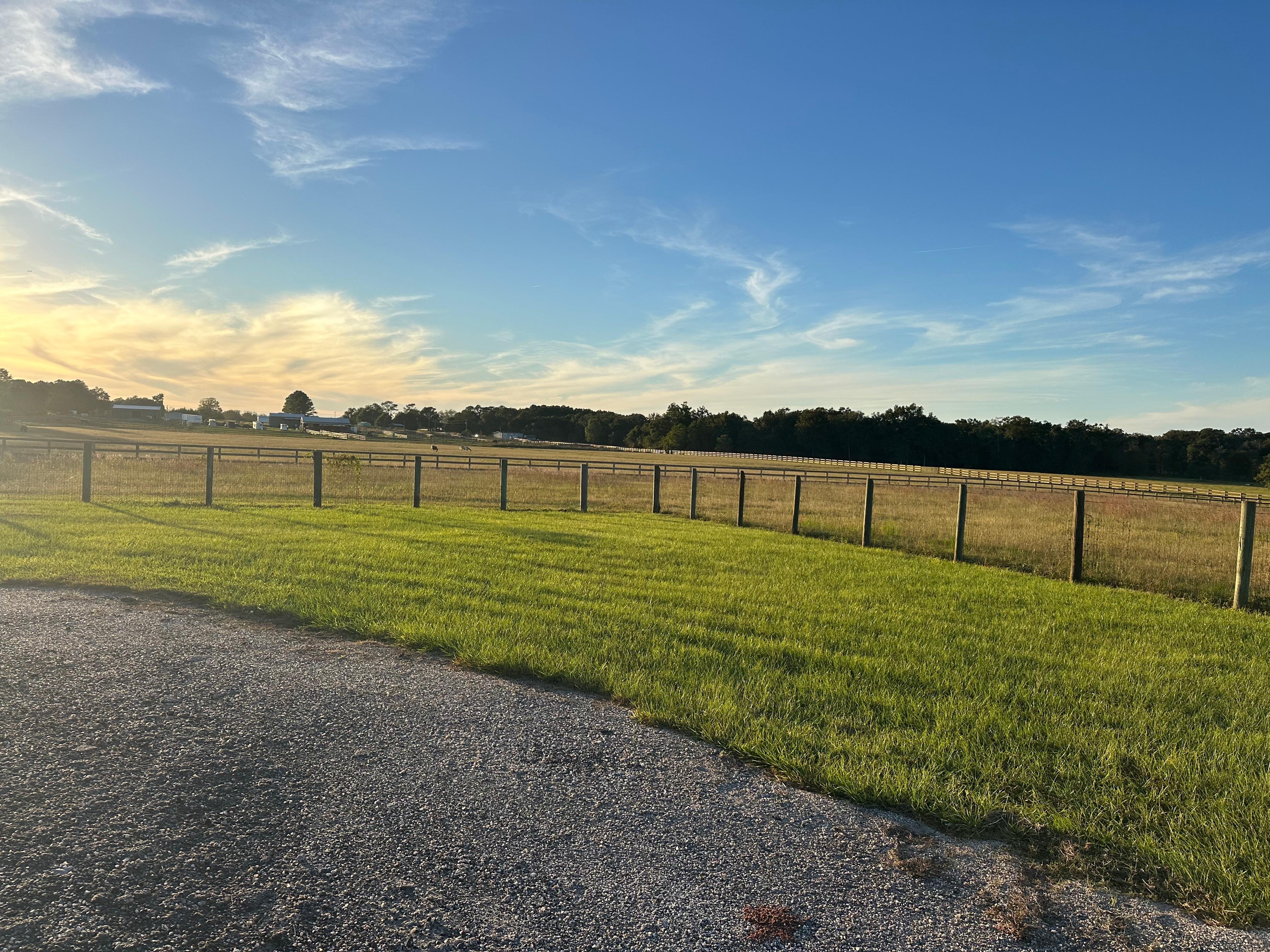View from front door 