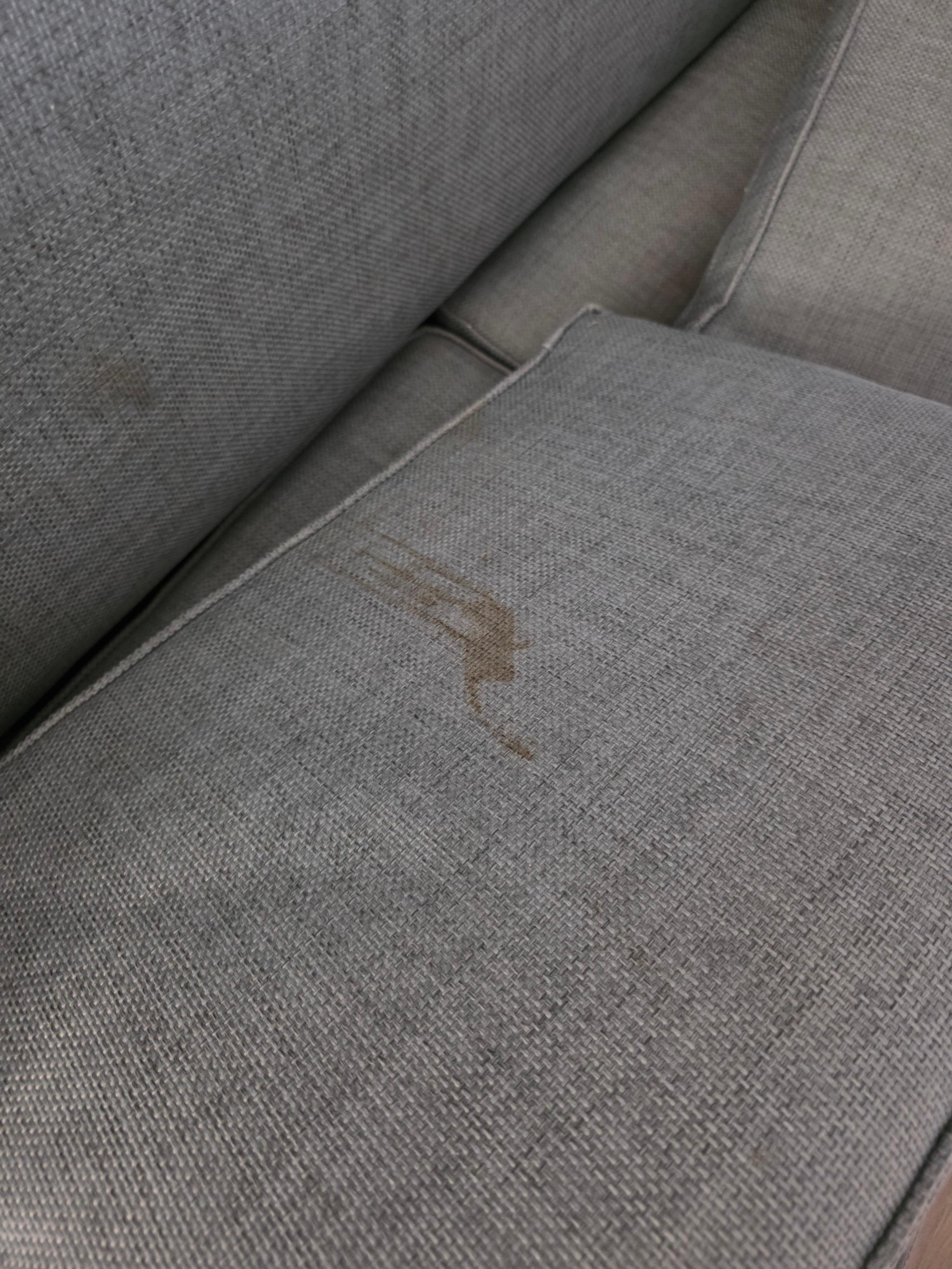 Another couch stains on back of pillow