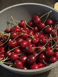 Mmmmmmm! Picked right in front of the house.