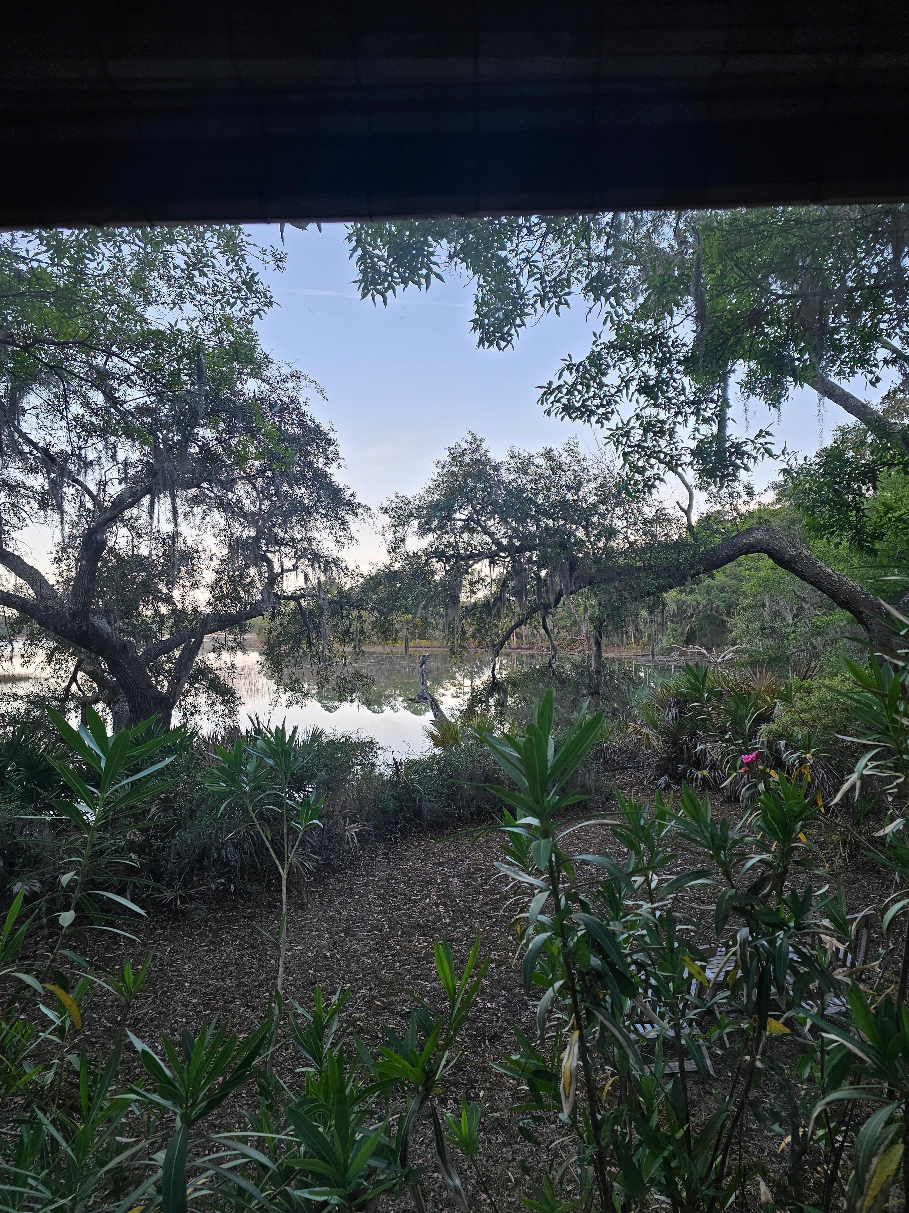Bedroom view