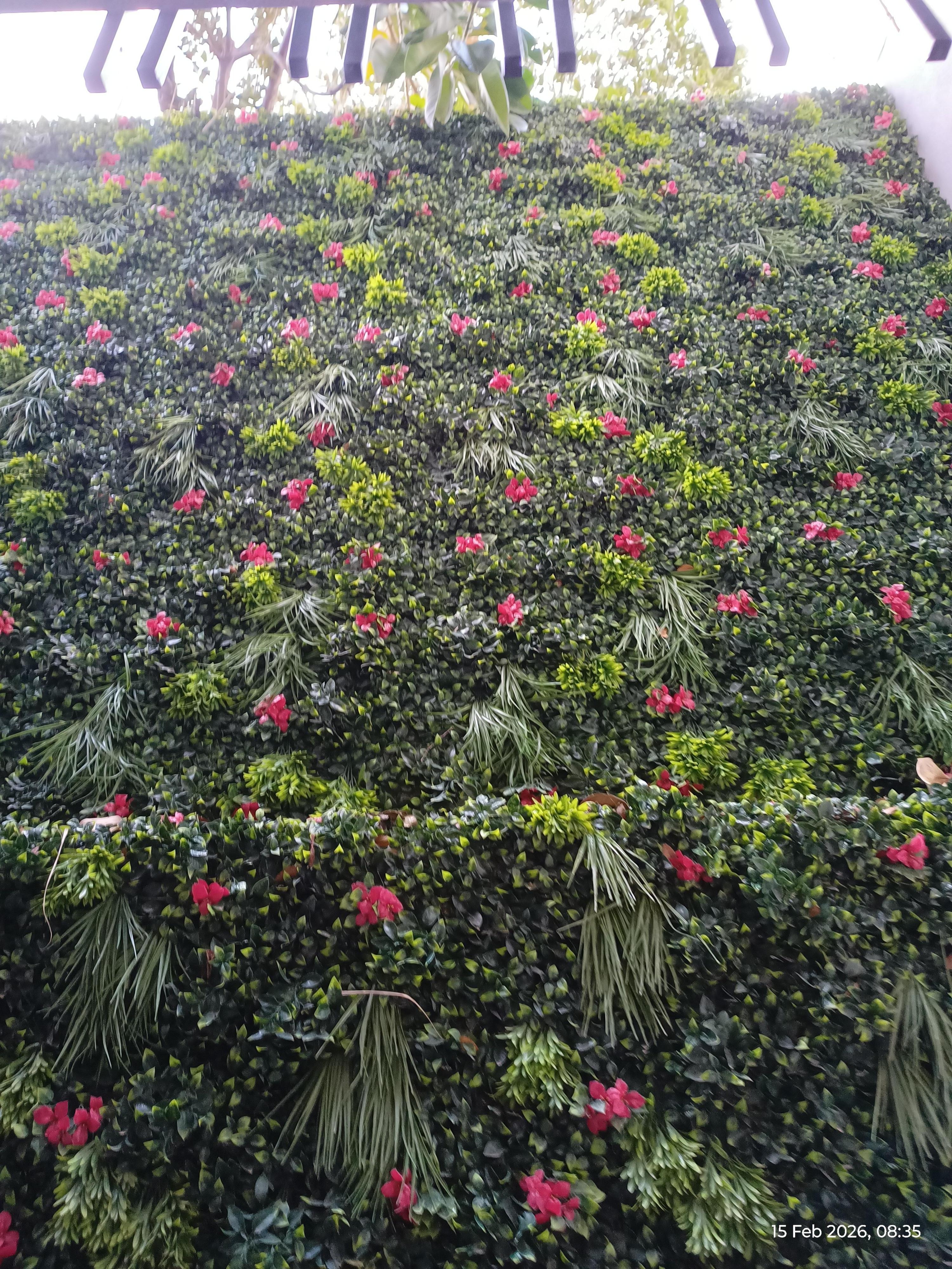 Wall in front of the balcony.