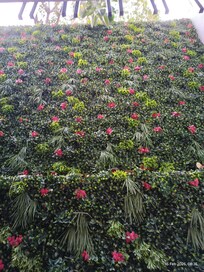 Wall in front of the balcony.