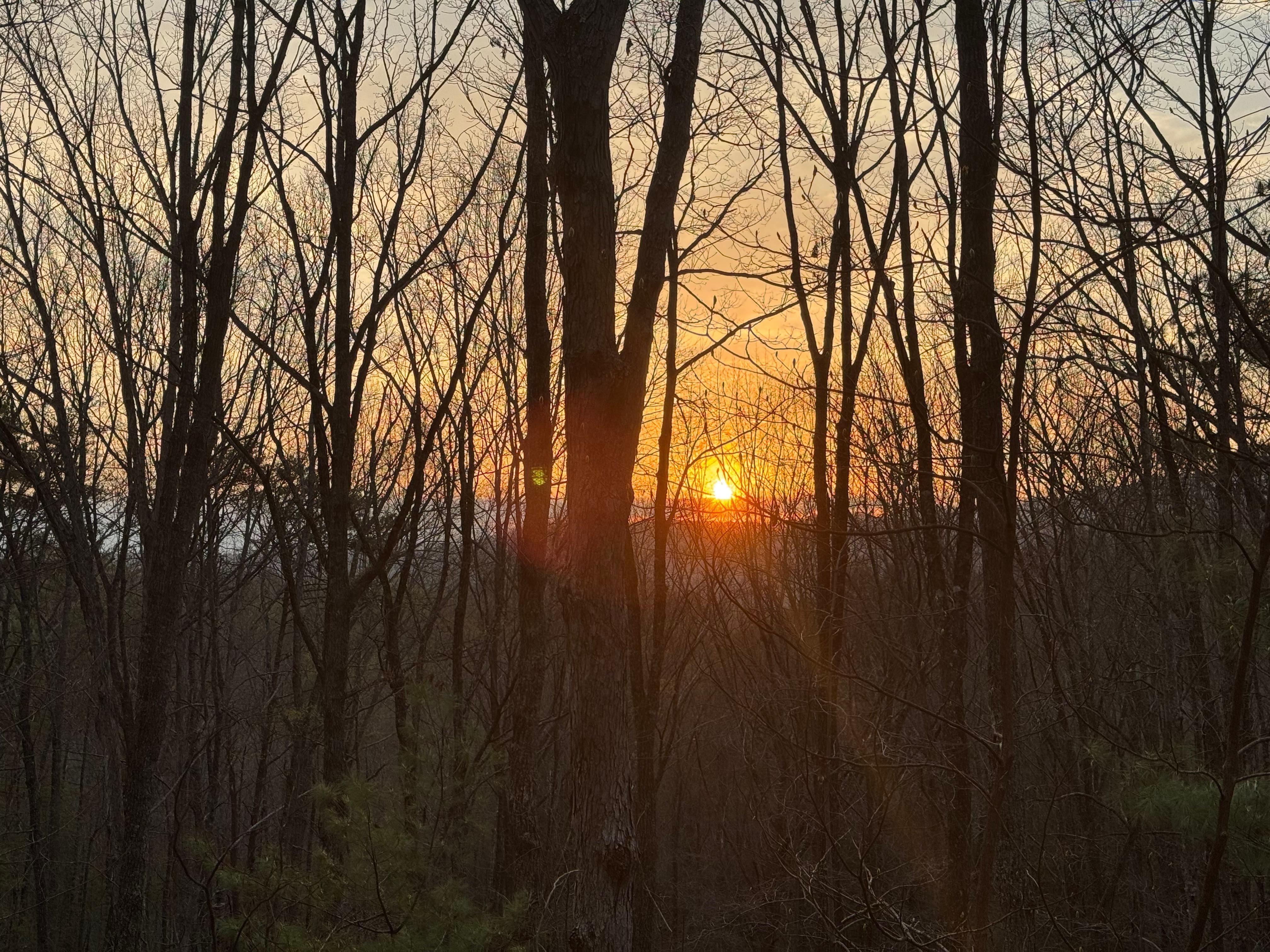 Morning view doesn’t get any better than this!