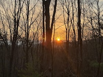 Morning view doesn’t get any better than this!