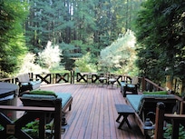 The deck, with redwoods across the way