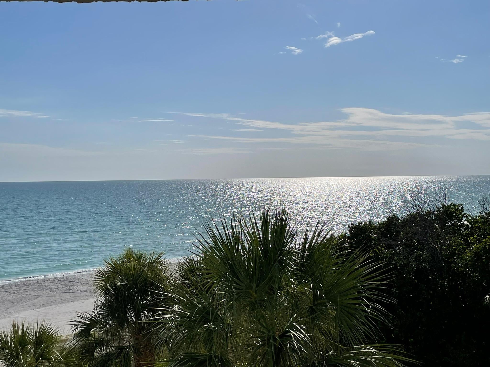View in the afternoon 3