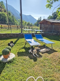 Milù, Noir e Magà in relax nel giardino dello Chalet A e T - Crot