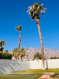 Backyard View