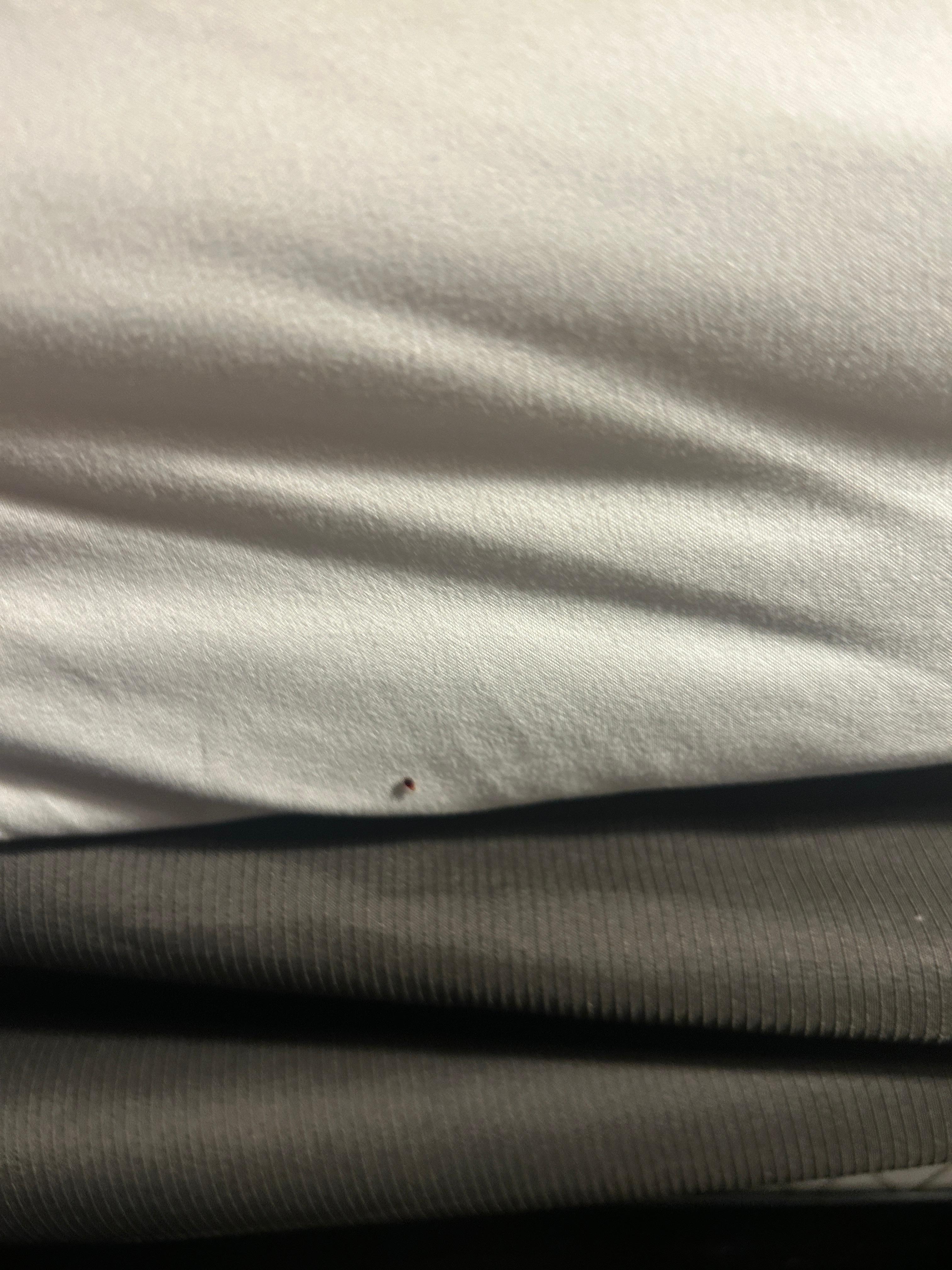Bedbugs!eeeh