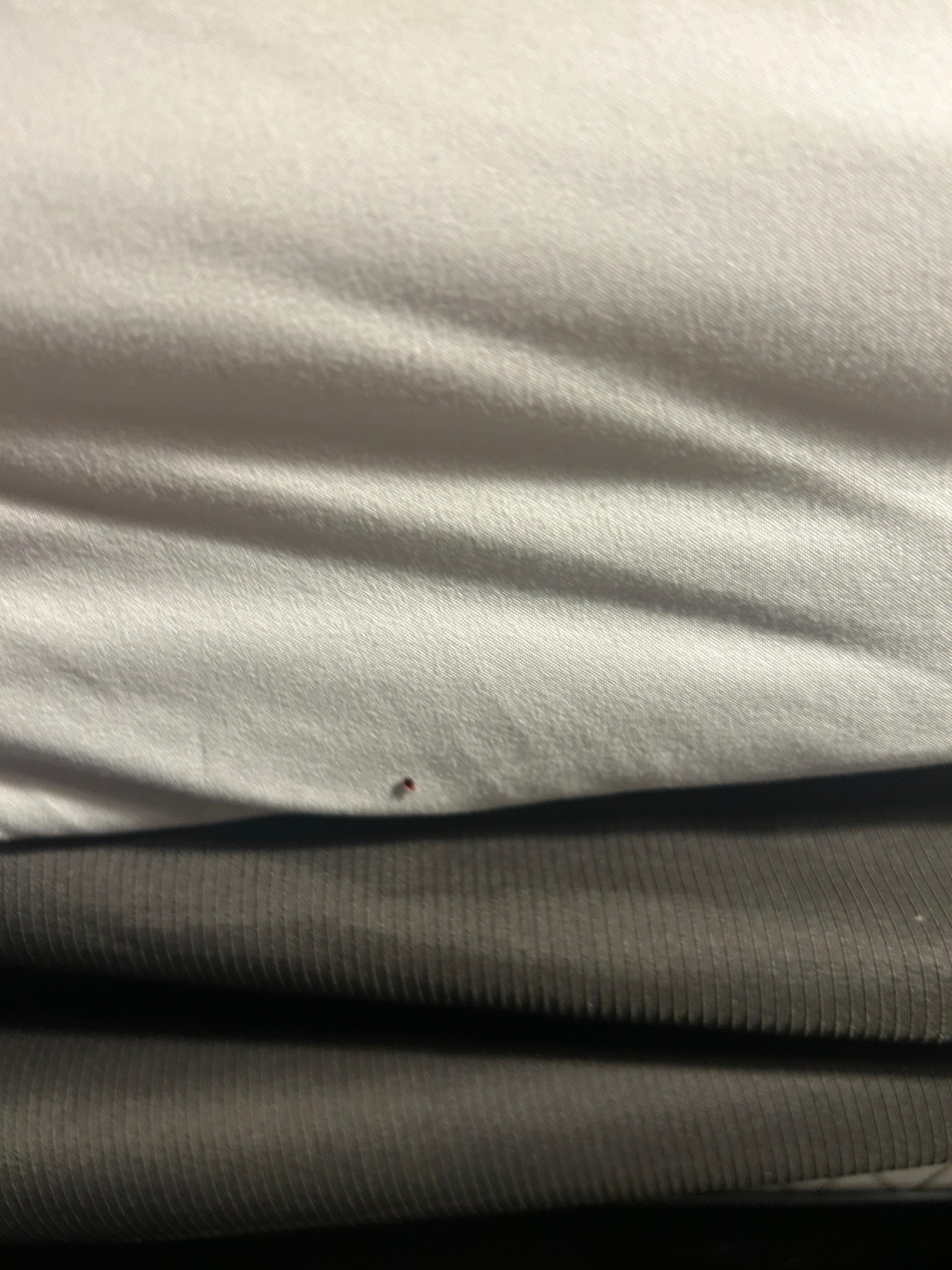 Bedbugs!eeeh