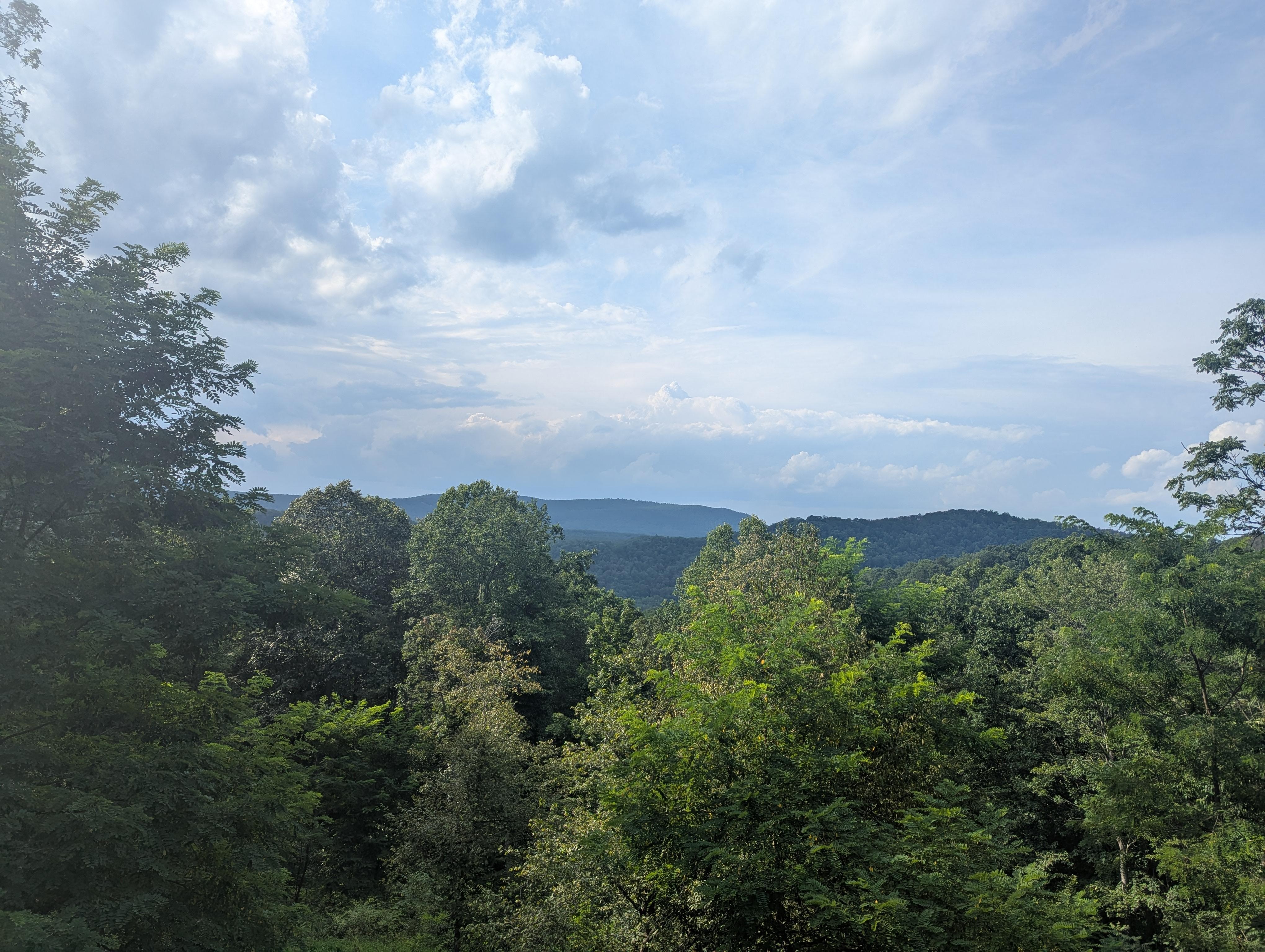 The beautiful view from the deck. 