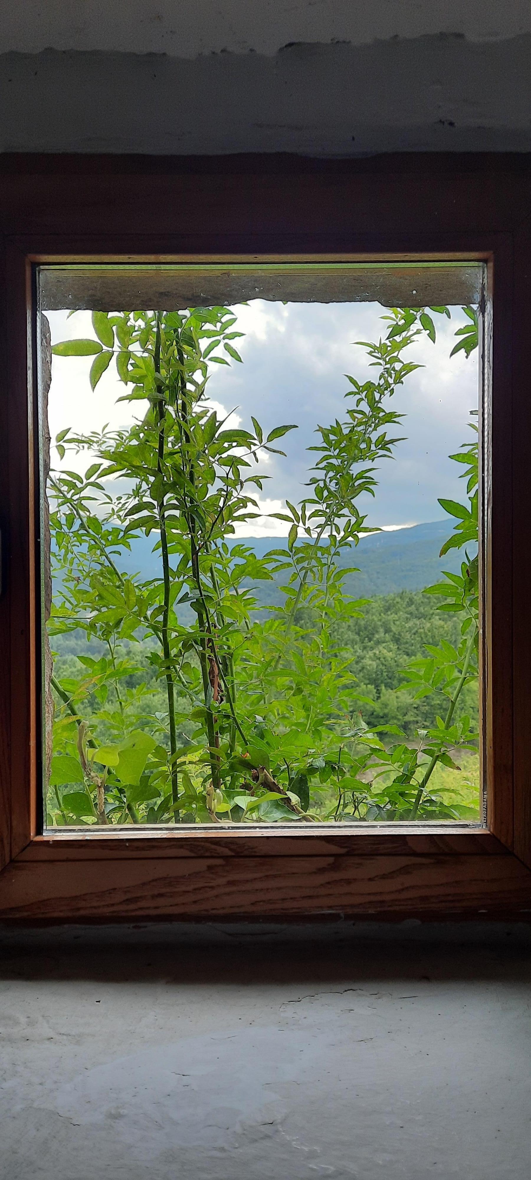 dalla finestra della cucina del cottage