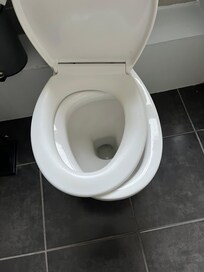 Toilet seat