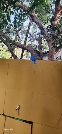 View from the junior suite with resort view