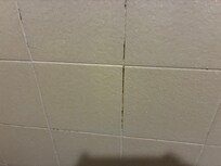 Mold in grout area. There were several of these spots on all 3 walls.