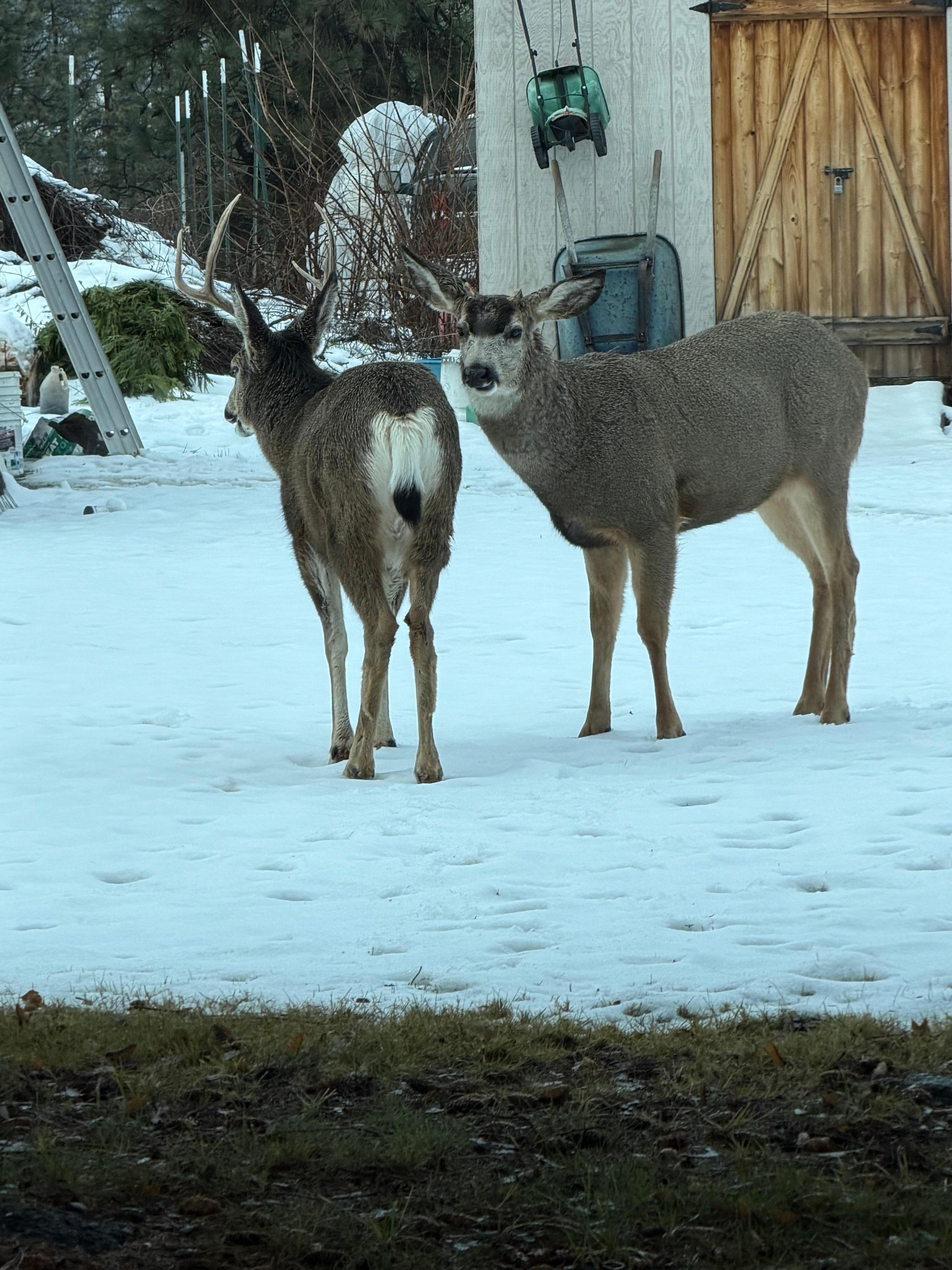 Driving along the River in Leavenworth. 
