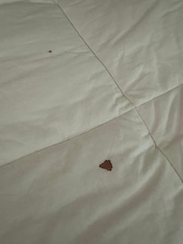 Draps tachés