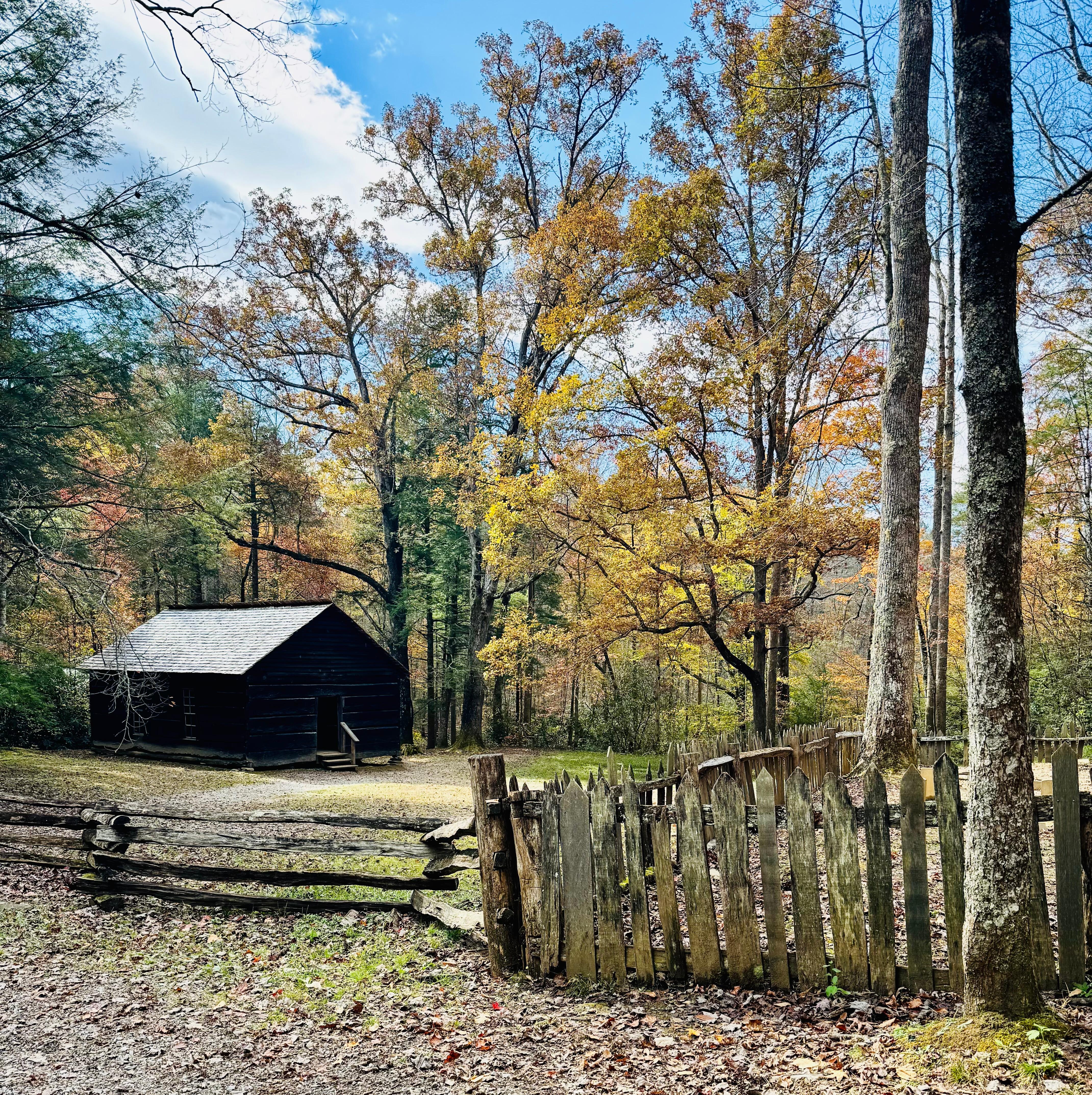 forLittle Greenbrier Schoolhouse in Metcalf Bottoms 
Great little hike close to the cabin