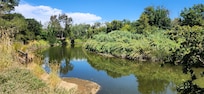 Walking view of the river