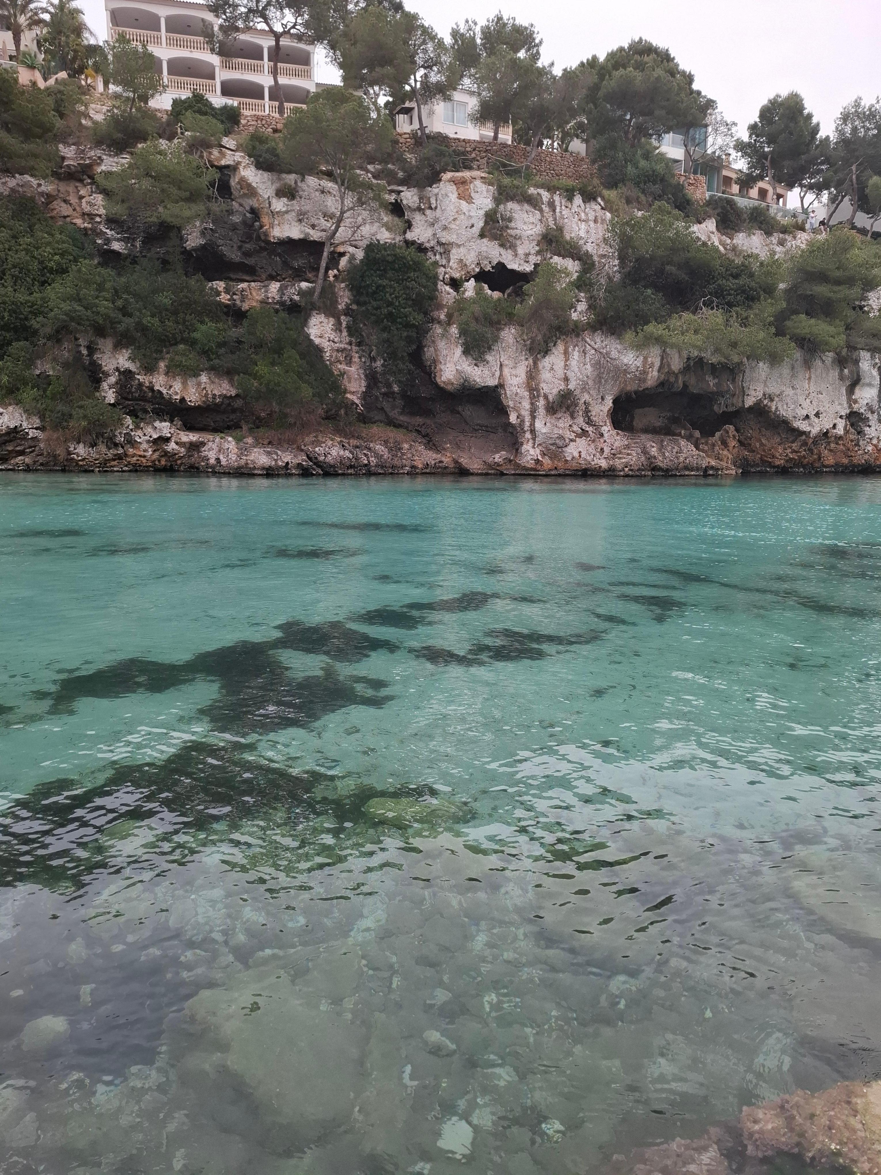 Crystal clear water at the cove