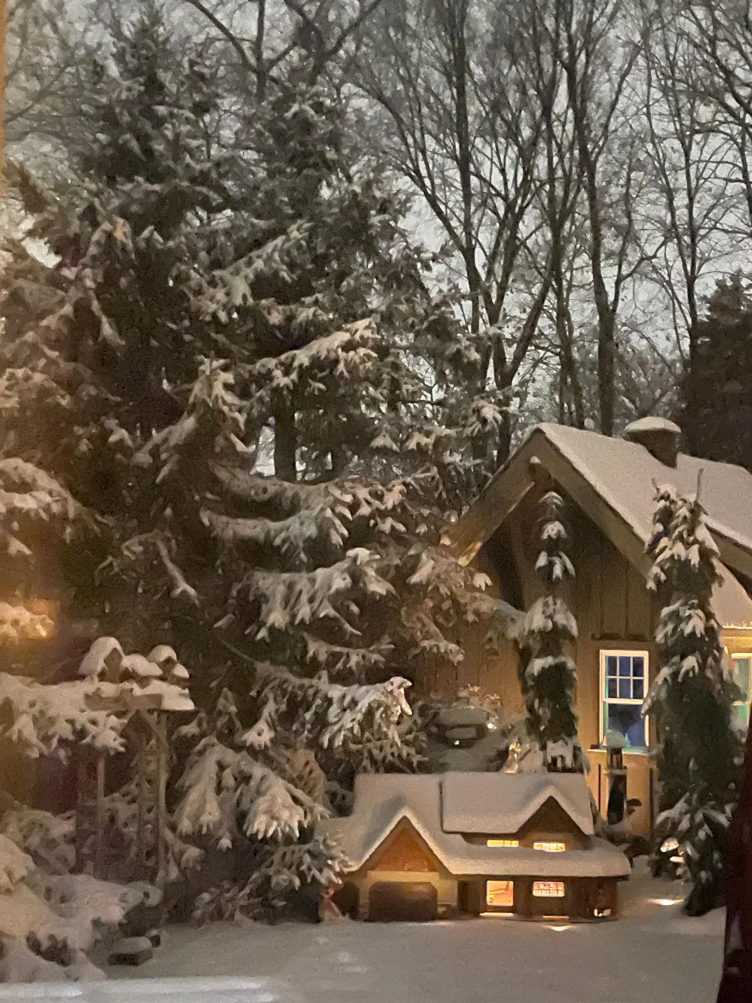 The yard when we arrived. - pre snow