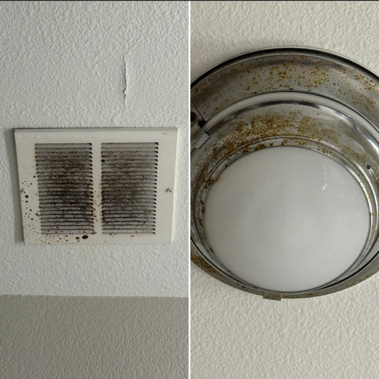 Mold and rust